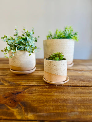 Handmade Cylindrical Planter – Matte or Speckled Finish : Speckled sand