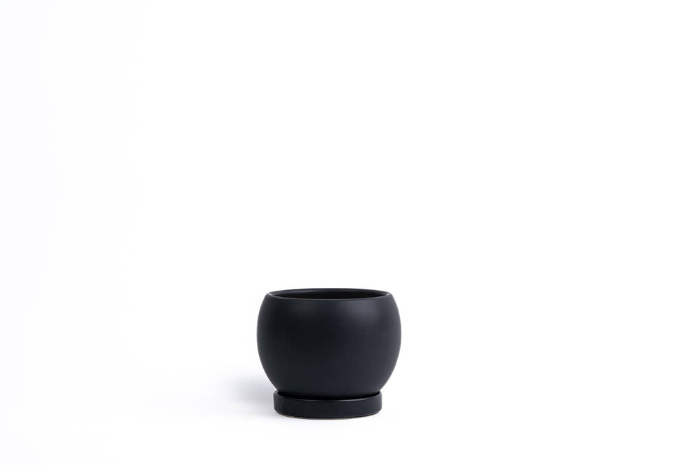 Bollé Planter Black 8 Inch