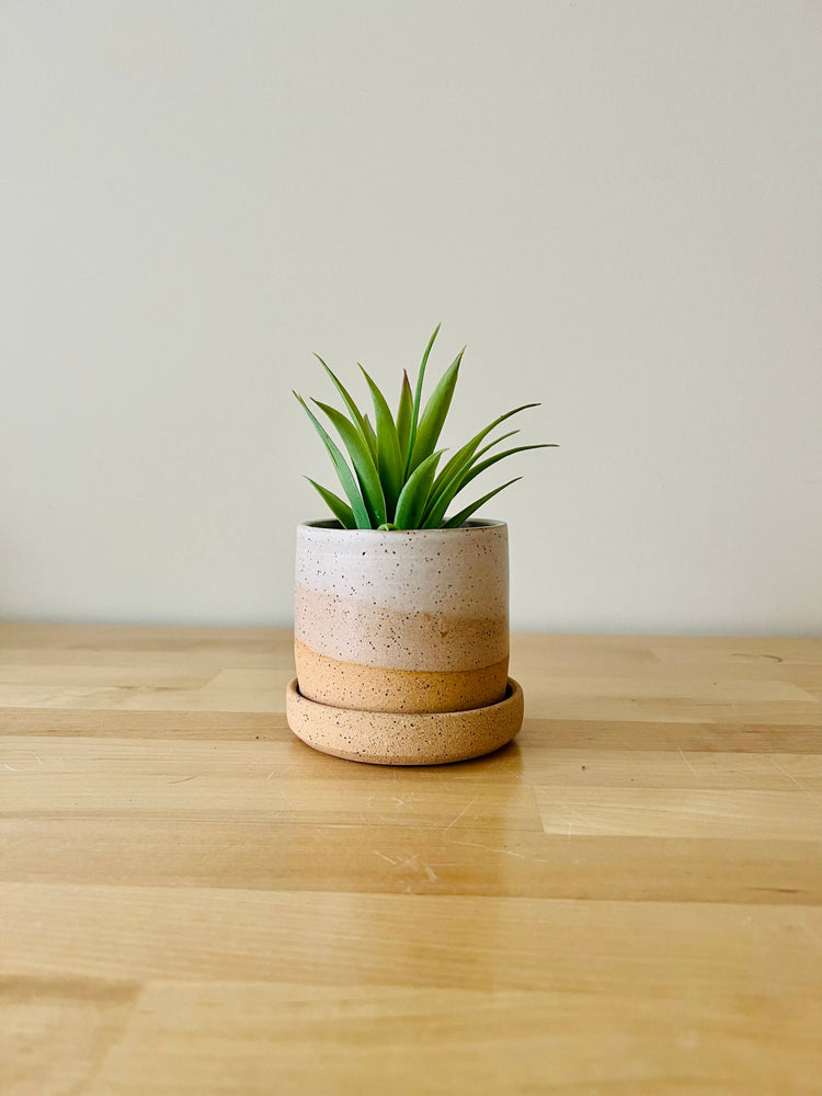 Handmade Cylindrical Planter – Matte or Speckled Finish : Speckled sand