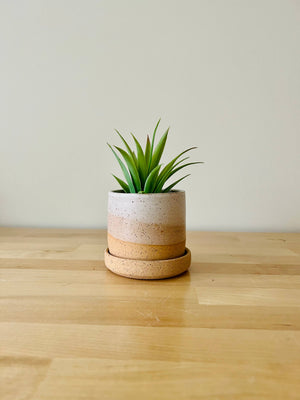 Handmade Cylindrical Planter – Matte or Speckled Finish : Speckled sand