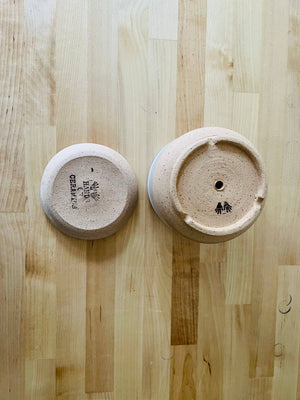Handmade Cylindrical Planter – Matte or Speckled Finish : Speckled sand