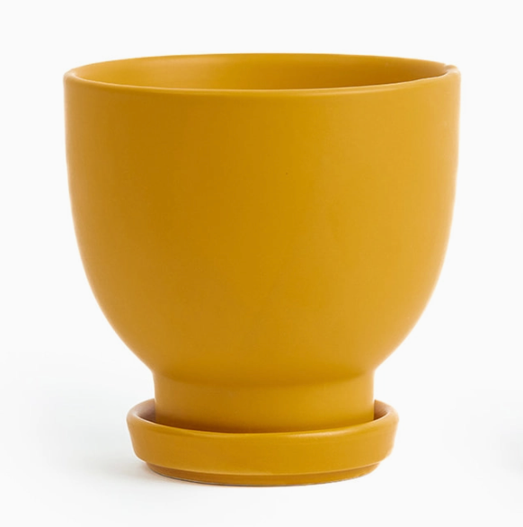 Mustard Chalice 5 Inch