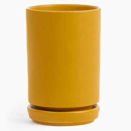 Mustard Tall Cylinder 3 Inch