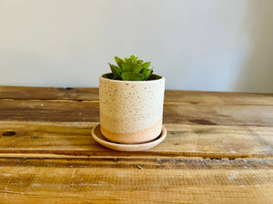 Handmade Cylindrical Planter – Matte or Speckled Finish : Speckled sand