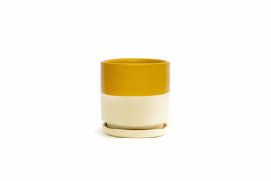 Mustard and White Cylinder 6 Inch