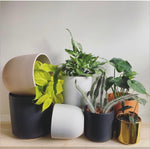 Peach & Pebble Ceramic Pots