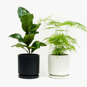 Black Cylinder Pot