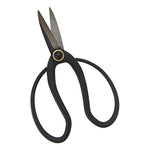 Pruning Snips