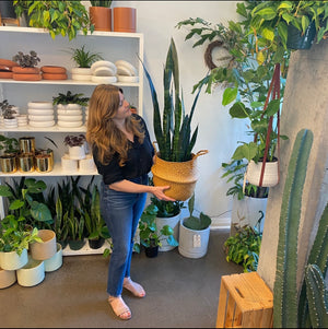 Seagrass Plant Basket