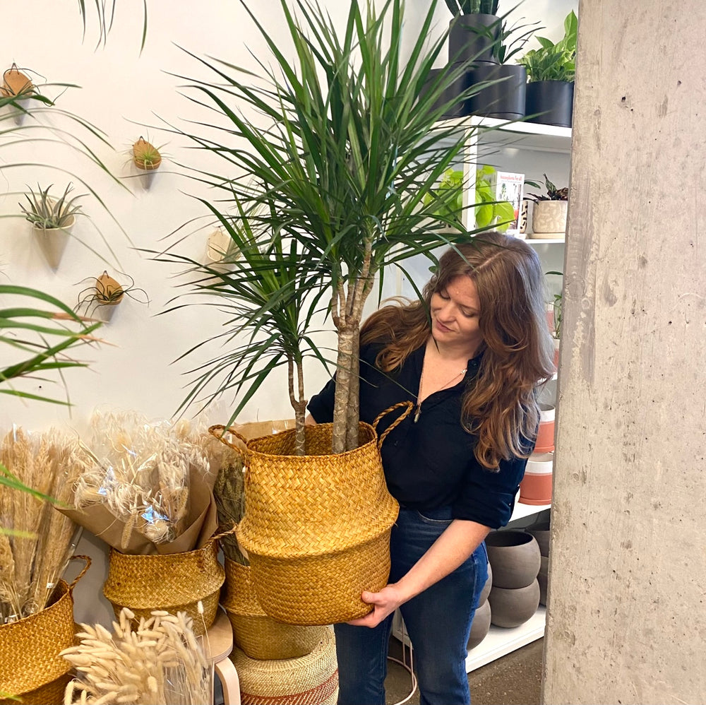 Seagrass Plant Basket